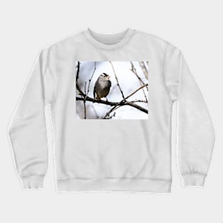 White Crowned Sparrow Crewneck Sweatshirt